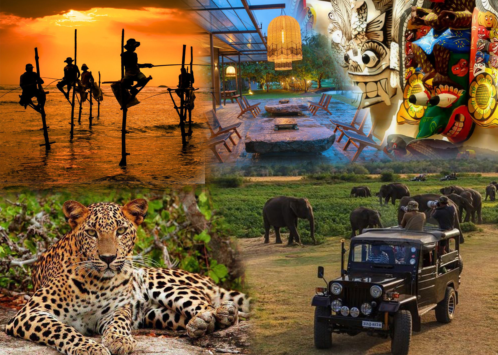 Cultural and Wild Sri Lanka